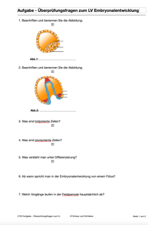 Embryonalentwicklung (Einzellizenz) 360 MB