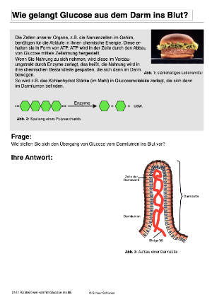 Diffusion und Osmose (170 MB)