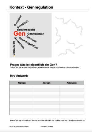 Embryonalentwicklung (Einzellizenz) 360 MB