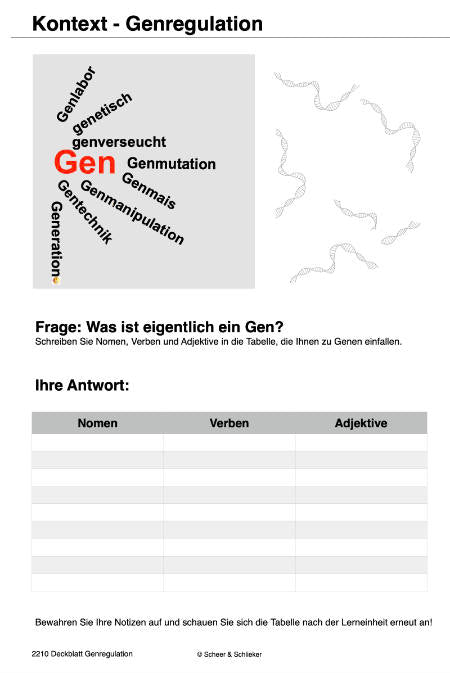 Embryonalentwicklung (Einzellizenz) 360 MB