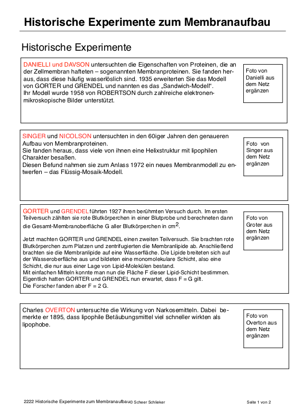 Bau der Biomembran (45 MB)