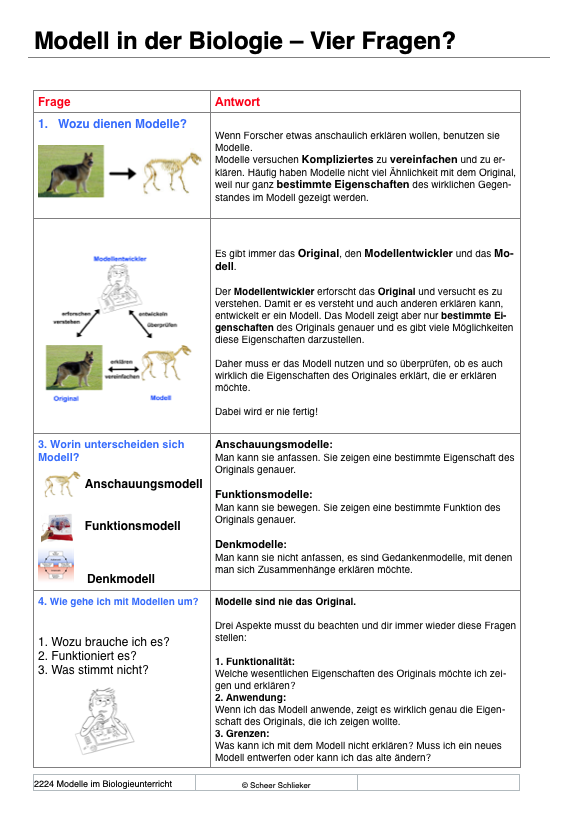 Bau der Biomembran (45 MB)