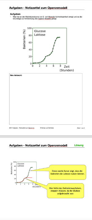 Embryonalentwicklung (Einzellizenz) 360 MB