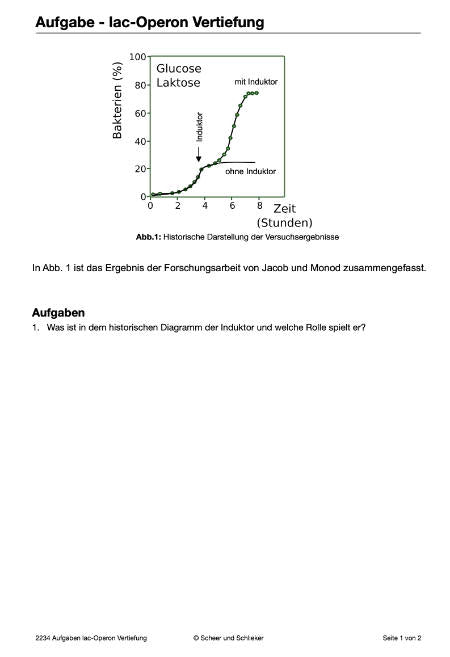 Embryonalentwicklung (Einzellizenz) 360 MB