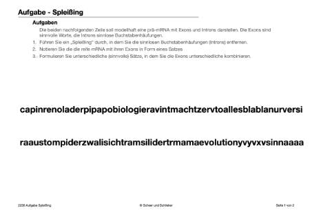 Embryonalentwicklung (Einzellizenz) 360 MB