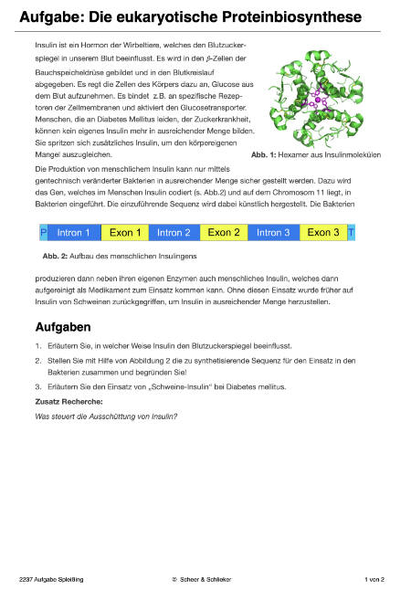 Embryonalentwicklung (Einzellizenz) 360 MB