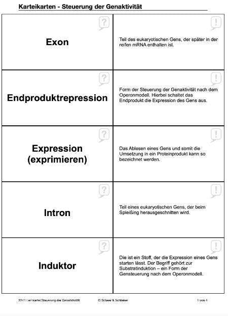 Embryonalentwicklung (Einzellizenz) 360 MB