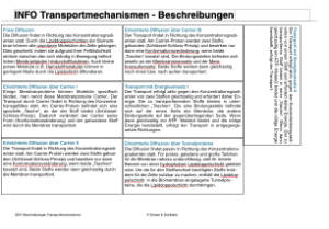 Transportmechanismen (50 MB)