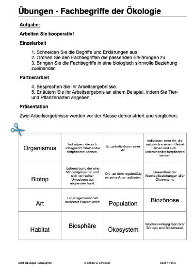 Ein Ökosystem entdecken (Einzellizenz) 84 MB