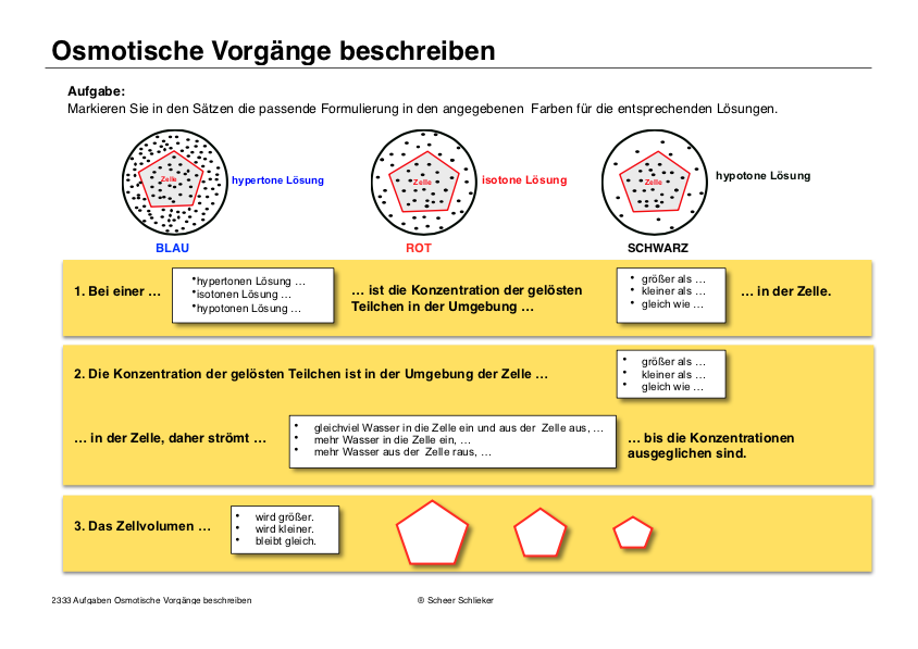 Diffusion und Osmose (170 MB)