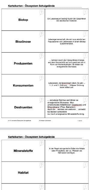 Ein Ökosystem entdecken (Einzellizenz) 84 MB