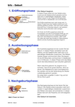 Sexualität Jahrgang 7 - 10 (343 MB)