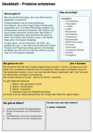 Proteinbiosynthese - ein Lernparcours (Einzellizenz) 93 MB