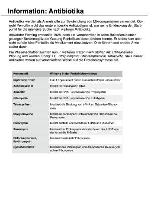 Proteinbiosynthese - ein Lernparcours (Einzellizenz) 93 MB