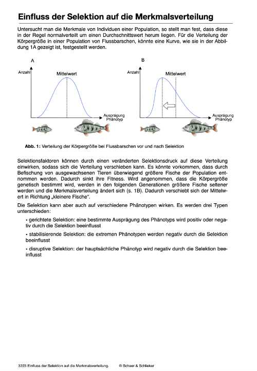 Evolutionsfaktoren (Einzellizenz ) -  67 MB