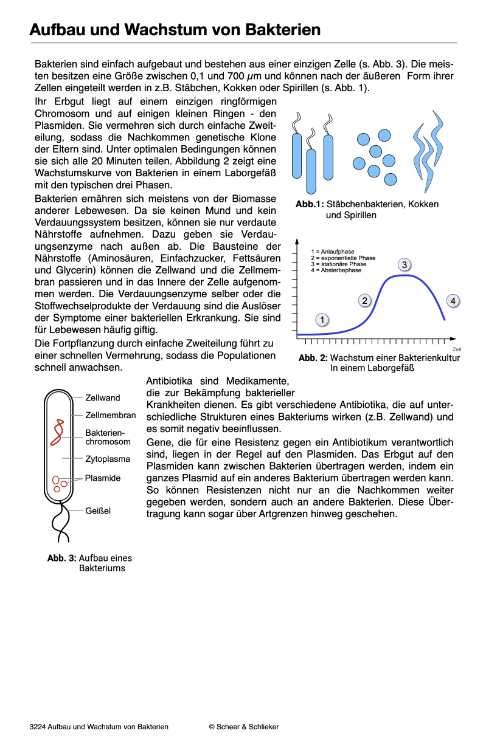 Evolutionsfaktoren (Einzellizenz ) -  67 MB