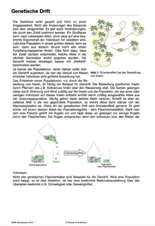 Evolutionsfaktoren (Einzellizenz ) -  67 MB