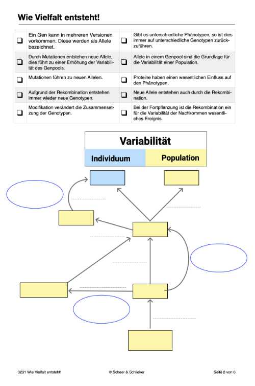 Evolutionsfaktoren (Einzellizenz ) -  67 MB