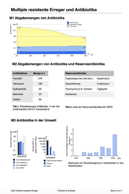 Evolutionsfaktoren (Einzellizenz ) -  67 MB