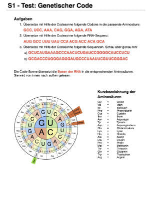 Proteinbiosynthese - ein Lernparcours (Einzellizenz) 93 MB