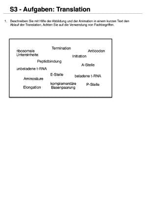 Proteinbiosynthese - ein Lernparcours (Einzellizenz) 93 MB