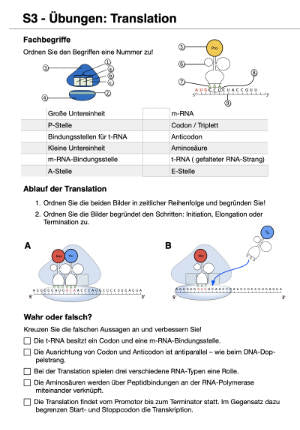 Proteinbiosynthese - ein Lernparcours (Einzellizenz) 93 MB