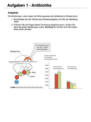 Proteinbiosynthese - ein Lernparcours (Einzellizenz) 93 MB