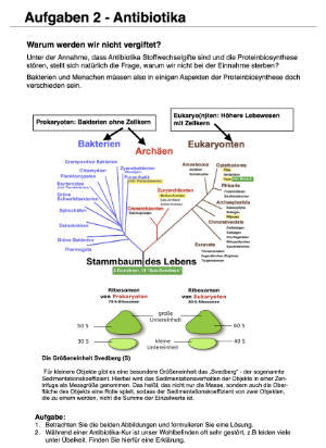 Proteinbiosynthese - ein Lernparcours (Einzellizenz) 93 MB