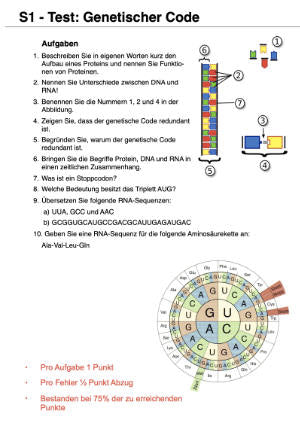 Proteinbiosynthese - ein Lernparcours (Einzellizenz) 93 MB