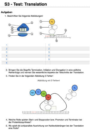 Proteinbiosynthese - ein Lernparcours (Einzellizenz) 93 MB