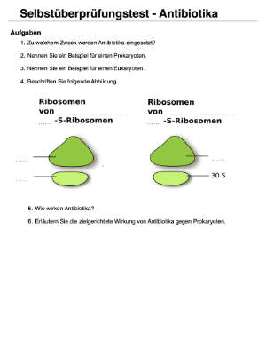 Proteinbiosynthese - ein Lernparcours (Einzellizenz) 93 MB