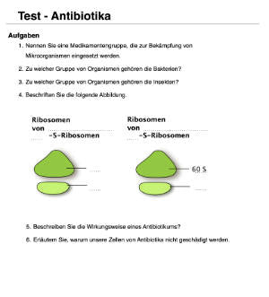 Proteinbiosynthese - ein Lernparcours (Einzellizenz) 93 MB