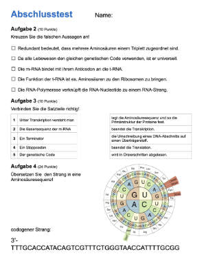 Proteinbiosynthese - ein Lernparcours (Einzellizenz) 93 MB