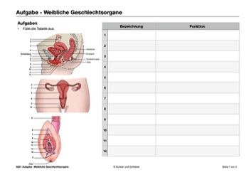 Sexualität Jahrgang 7 - 10 (343 MB)