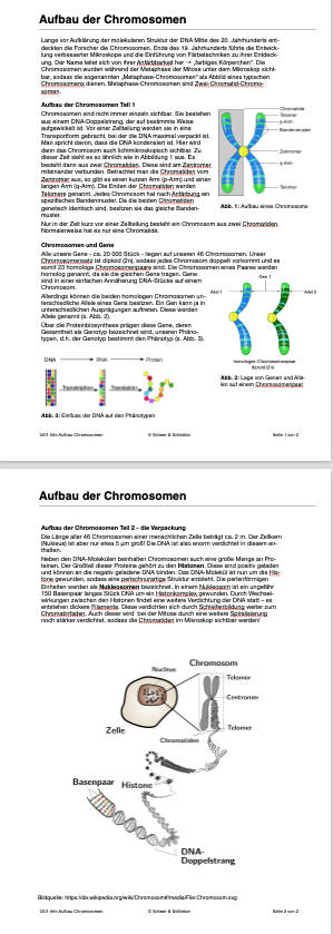 Mitose und Meiose (Einzellizenz) 33MB