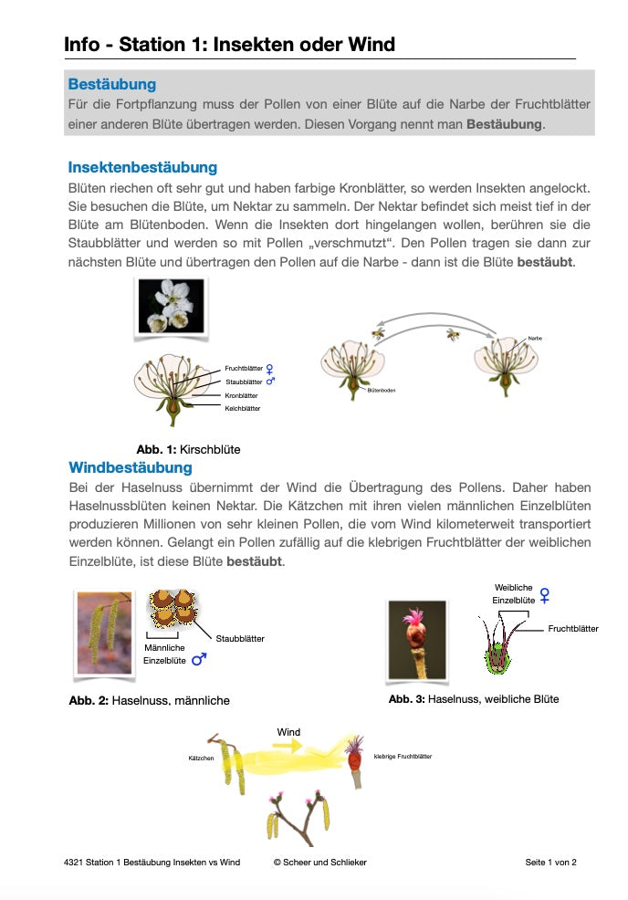 Botanik: Bestäubung und Befruchtung - Stationsarbeit (131 MB)