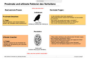 Verhaltensökologie (48 MB)