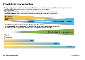 Verhaltensökologie (48 MB)