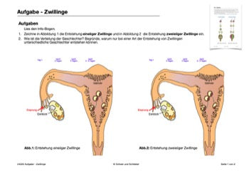 Sexualität Jahrgang 7 - 10 (343 MB)