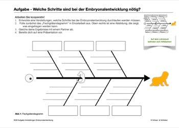 Sexualität Jahrgang 7 - 10 (343 MB)