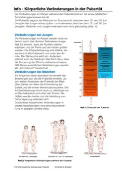 Sexualität Jahrgang 5 und 6 (142 MB)