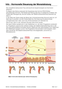 Hormonsystem Jahrgang 7 bis 10 (24 MB)