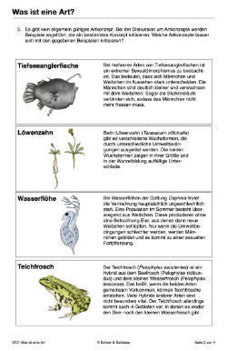 Artbildung (Einzellizenz) - 39 MB