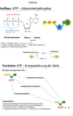 Energiequellen Teil 1 - komplett (Einzellizenz)