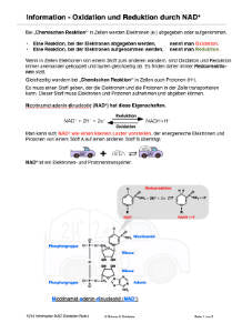 Energiequellen Teil 1 - komplett (Einzellizenz)