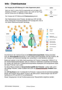 Energiequellen Teil 1 - komplett (Einzellizenz)