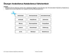 Energiequellen Teil 1 - komplett (Einzellizenz)