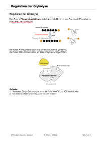 Energiequellen Teil 1 - komplett (Einzellizenz)