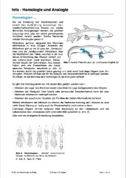 Evoultion als historischer Prozess - Belege für die Evolution (109 MB)