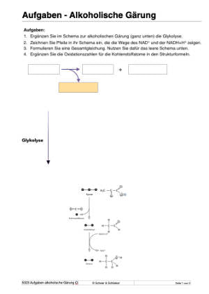 Energiequellen Teil 1 - komplett (Einzellizenz)